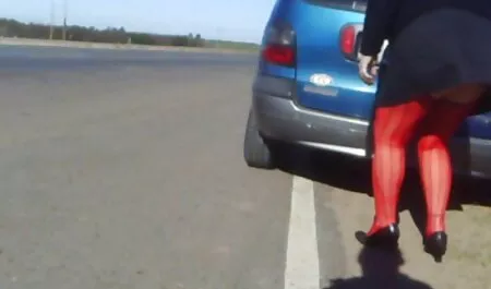 Tu chico es joven, cabello castaño, videos gratis caseros maduras chupando, lamiendo, cum