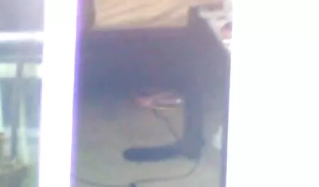 Rubia es recomendado para tapar su boca y videos caseros maduras tetonas abrir su agujero de par en par a tomar semen