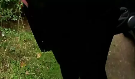 La pornstar striptease videos caseros de maduras gritonas playa para la vista