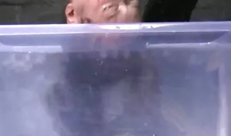 Dos hermosas lesbianas suavemente beso y acariciar coños y videos caseros de maduras borrachas culos