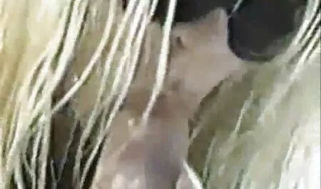 Una chica joven, el pelo rojo, áspero, a caballo, novio polla y videos caseros de cuarentonas quiere semen en su boca