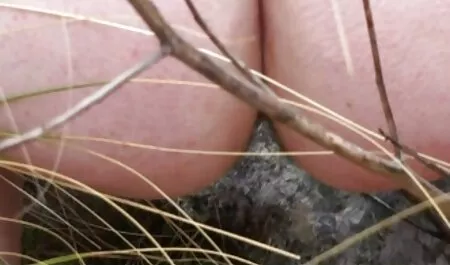 Gigante Tetas masturbación con la mano marido la polla maduras caseras reales terminando con cum